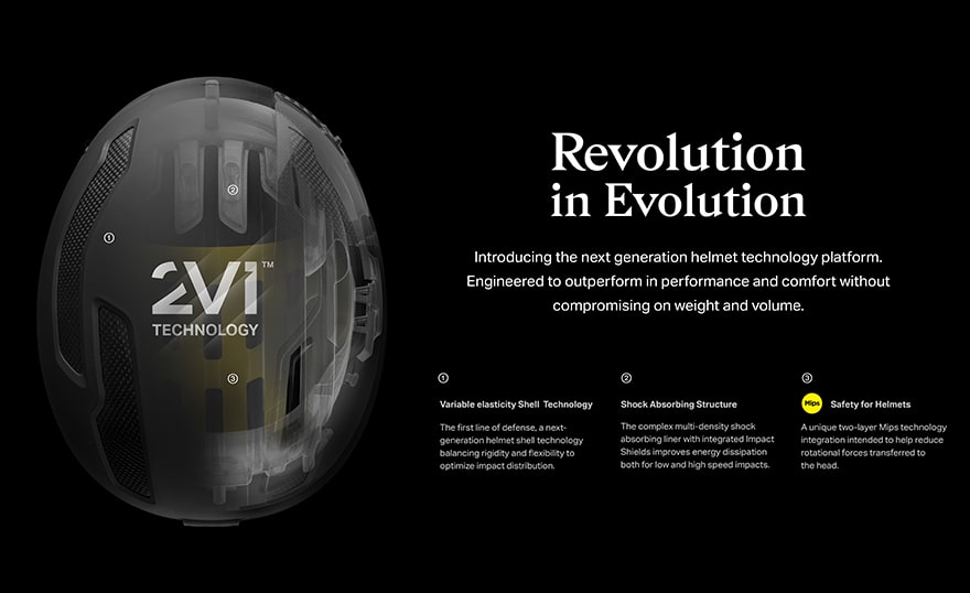 2Vi