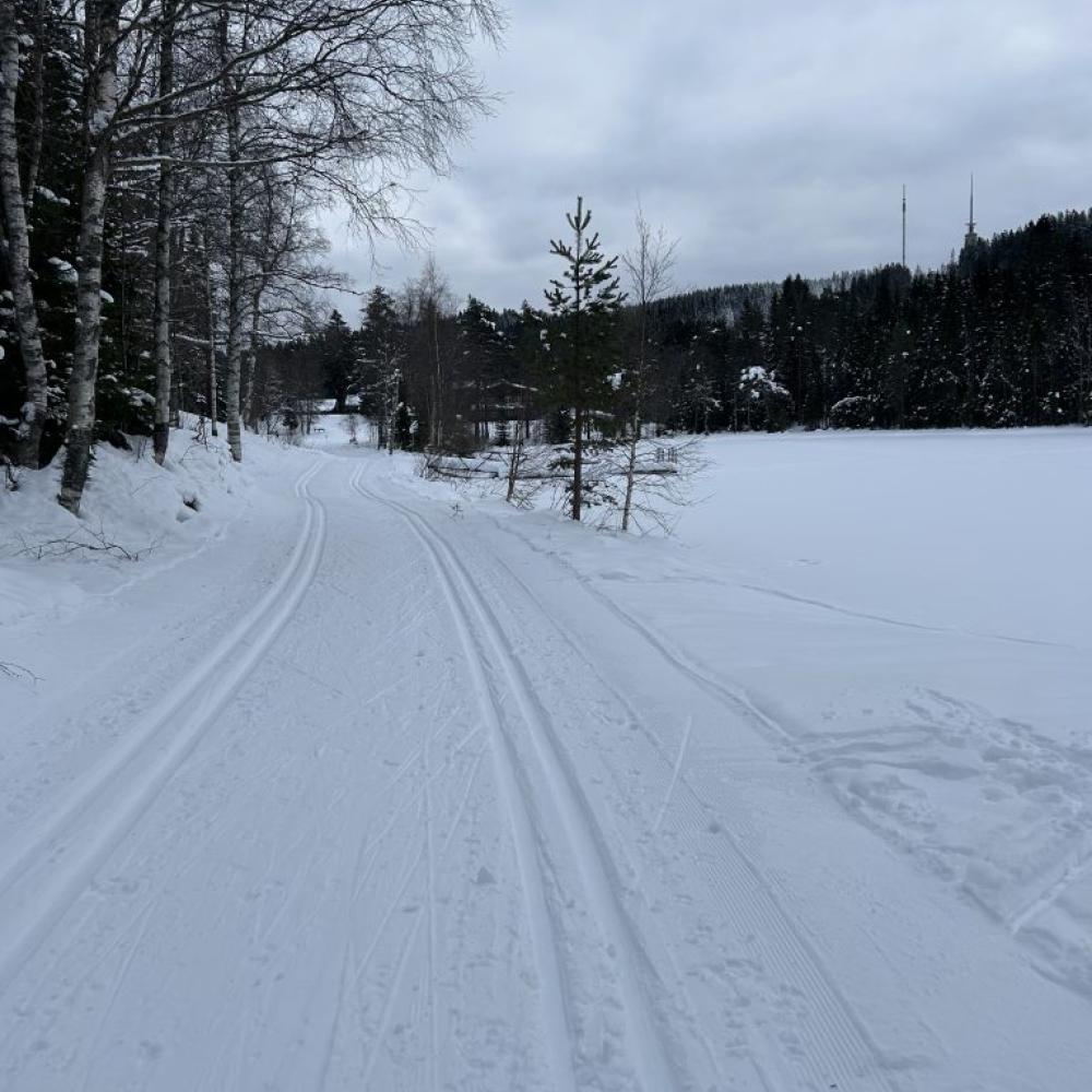 Smøretips Holmenkollmarsjen 2026